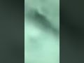 إنفجار بيروت كلنا لبنان يارب عدي المحنة علي خير نجيهم واحفظهم