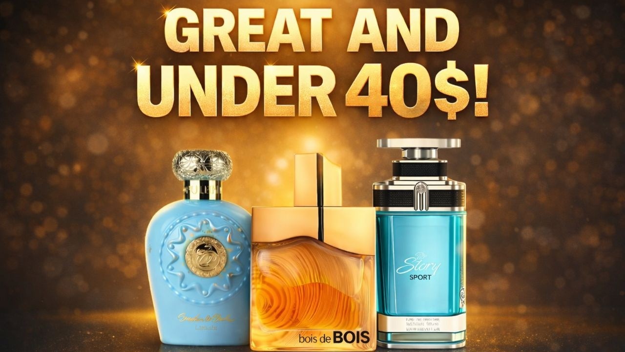 Great Finds Under 40$