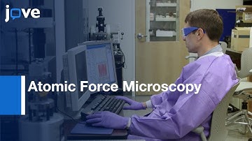 Extracellular Vesicles (EVs) Imaging by Atomic Force Microscopy | Protocol Preview