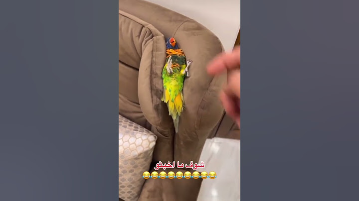 ما اخبث العصفور ههههه