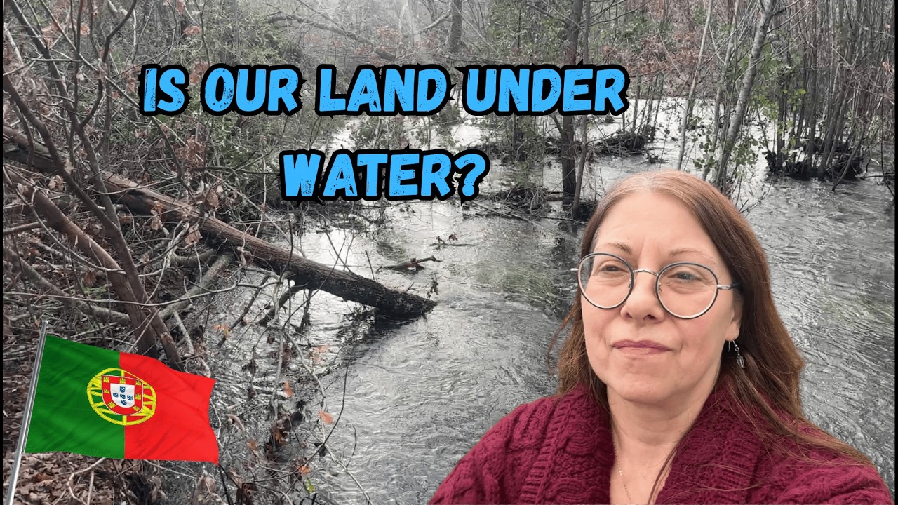 Is Our Land Under Water? Hurricane Flooding & Damage in Portugal