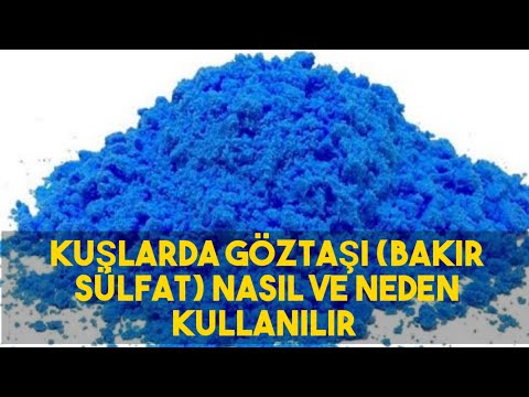 Video: Sonbaharda Kuş üzümü Nasıl Püskürtülür? Çalıların Zararlılardan Ve Hastalıklardan Bakır Sülfat Ile Işlenmesi, Demir Sülfat Ve üre Ile Işlenirken Oranlar, Diğer Seçenekler