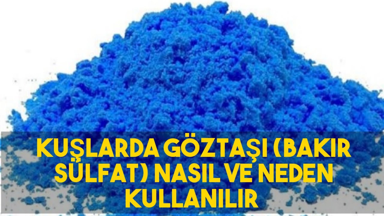 Kuşlarda Göztaşı(Bakır Sülfat) Neden Kullanmalıyız