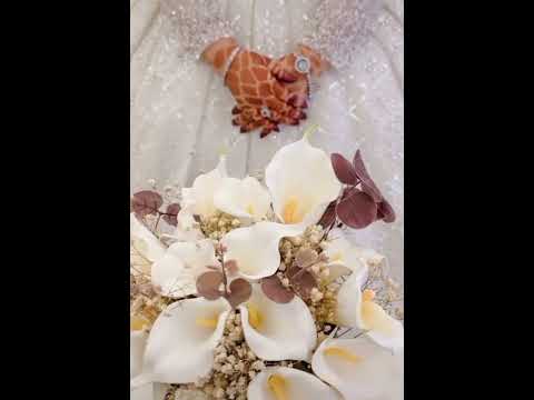 حالات واتس اب عروس 