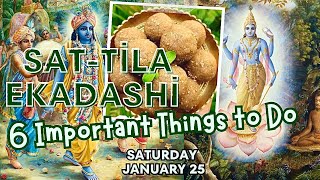 Sat Tila Ekadashi (6 Important Things to Do)