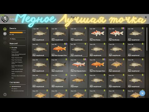 Russian Fishing 4 Оз.Медное Лучшая Точка Для Ловли Редких Видов!!