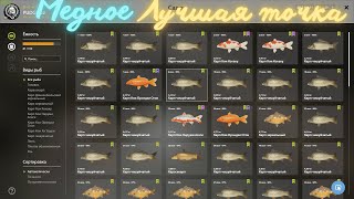 Russian Fishing 4 Оз.Медное Лучшая точка для ловли РЕДКИХ видов!!