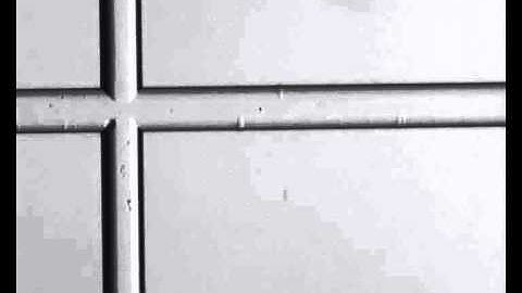 Electrokinetic gated injection-based microfluidic system for quantitative analysis...