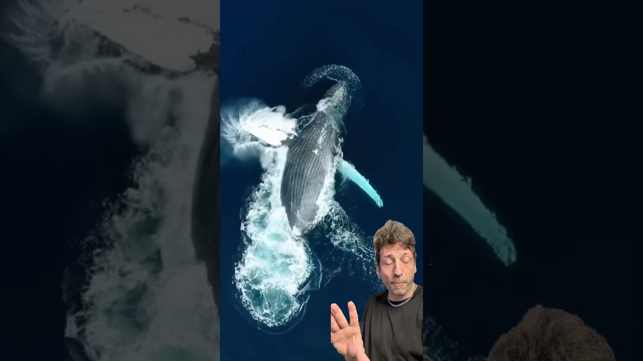 The Mysterious “Blue 52”