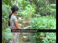 "Child Farmer " Vinaya RajKumar