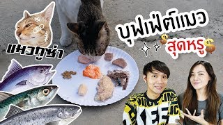 เปย์แมวกูซ่า! ด้วยบุฟเฟ่ย์แมวสุดหรู // แมวชอบกินอะไรที่สุด?