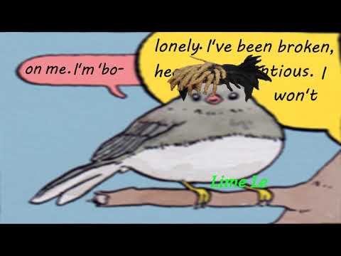 annoyed-bird-meme-(xxxtentacion-edition)