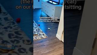 Tuck The Dramatic Cat - Day One Night Visit