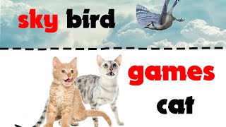 CAT GAMES ★ SKY BIRD HUNT on screen for cats screenshot 5