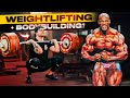 Olympic weightlifting  bodybuilding workout