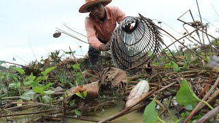 Best Traditional Fishing - Catching A Lot Of Fish in Secret Lotus Lake