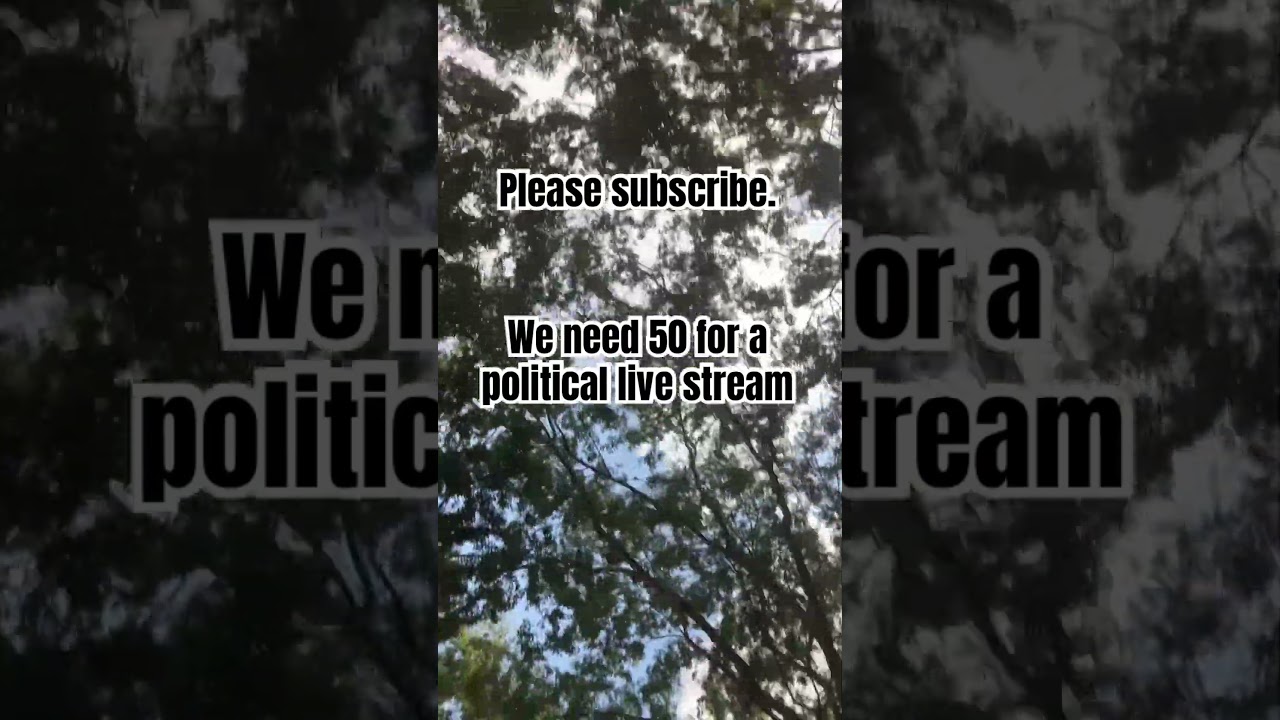 Who wants a political live stream? 