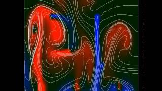 Famous 2D Fluid Simulation Net Worth