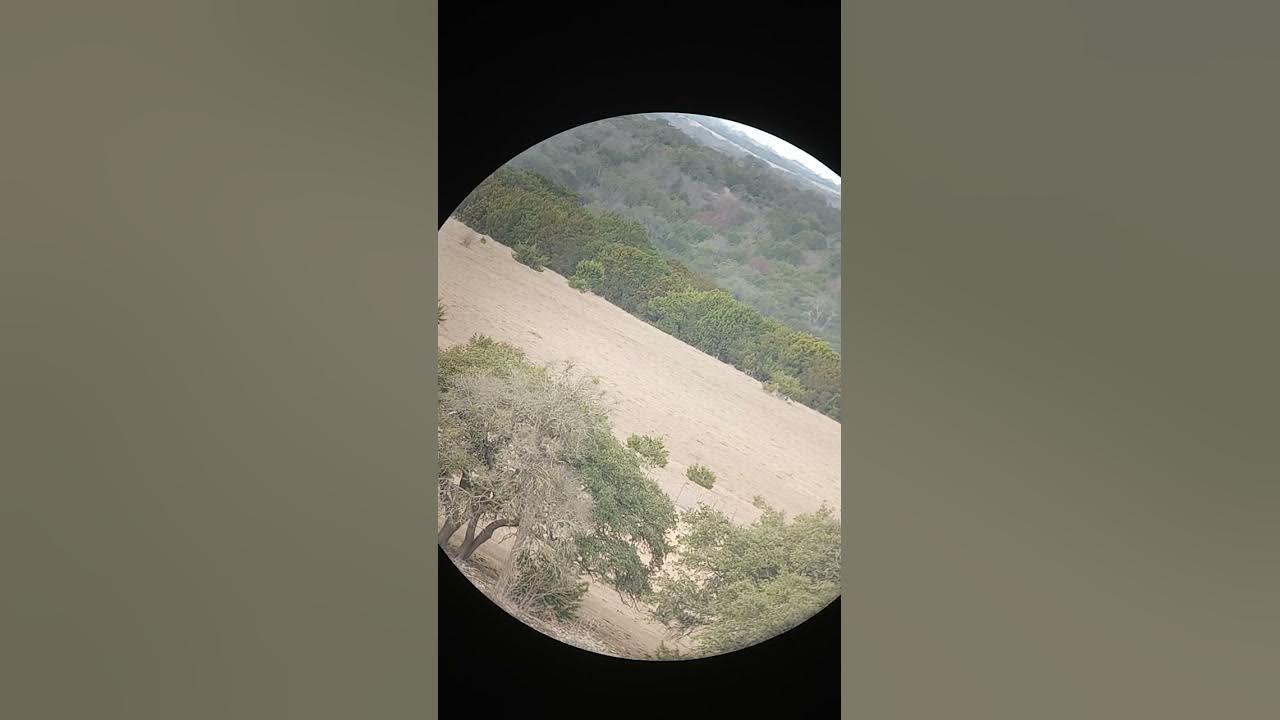 Cabela's krotos spotting scope review YouTube