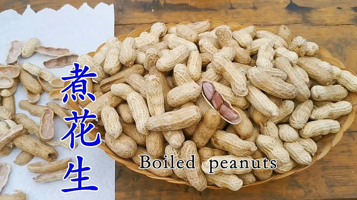 新鲜带壳花生怎样煮  老奶奶的配方告诉你 Salted peanuts with shells - 天天要闻