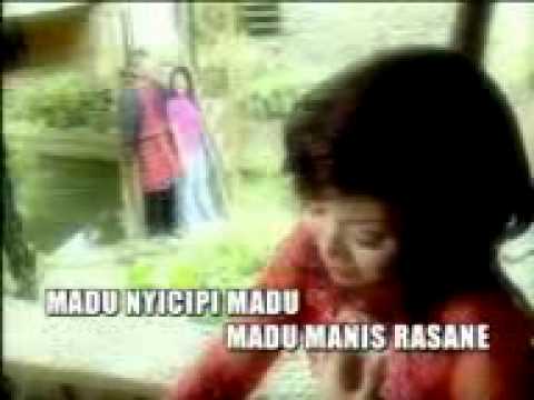 Ela Indira - Madu Dimadu