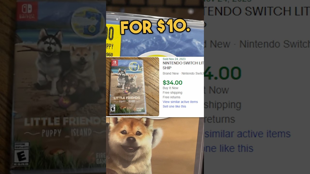 I Found DIRT CHEAP Switch Games at…WALMART? 🤯 