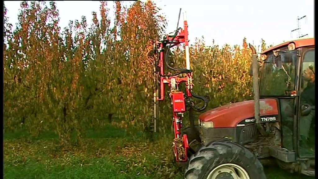 34 Potatrice da frutteto