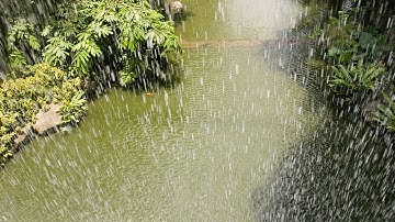 Jakob Runge: Quantifying causal pathways of interactions in the complex climate system   19 May 2015