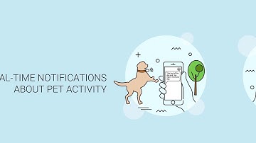 Plivo Use Case: Internet of Things