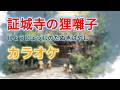 【カラオケ】証城寺の狸囃子 (Shojoji no Tanuki-bayashi / The Tanuki Moonlit Festival) | 童謡・唱歌 | 歌詞付き | 高音質