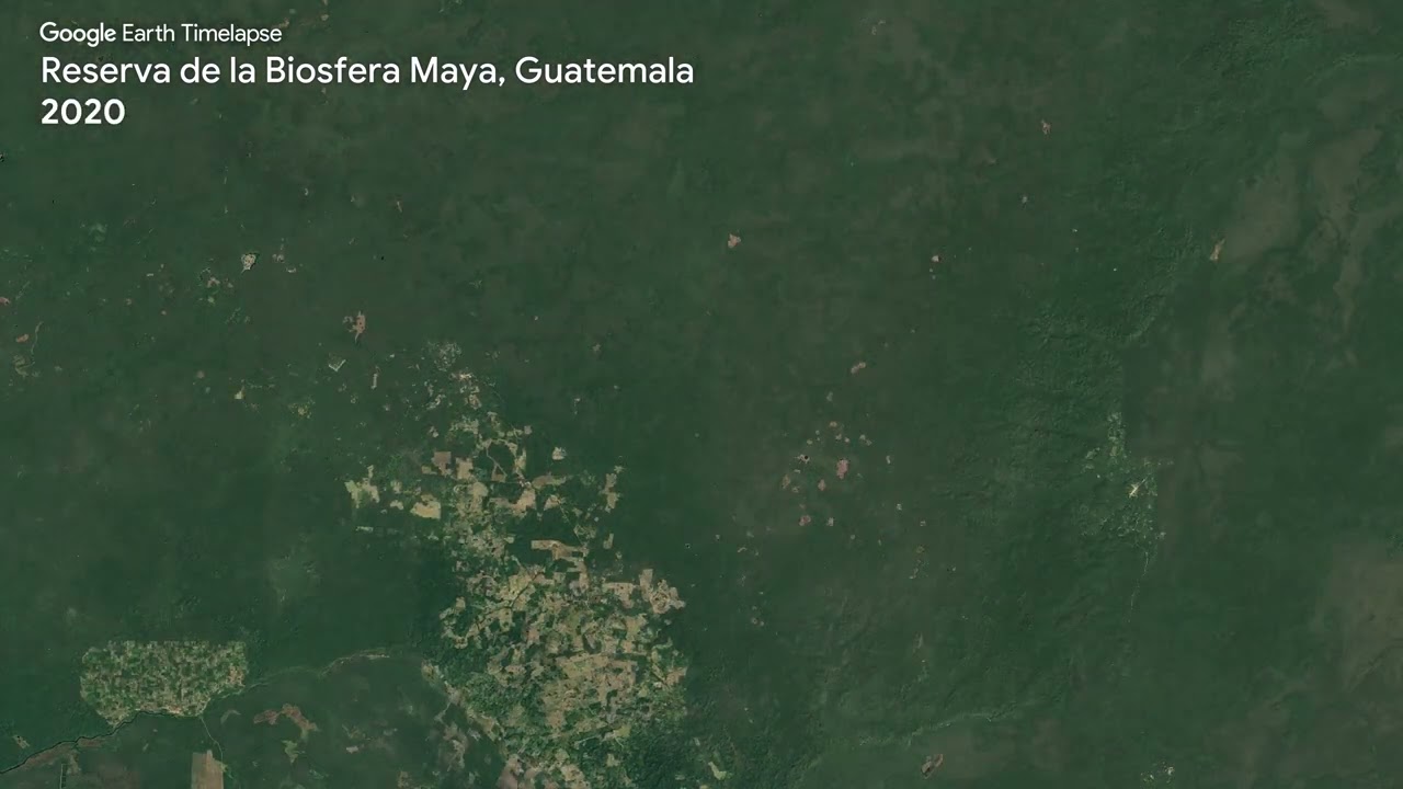 Reserva de la Biosfera Maya, Guatemala - Earth Timelapse