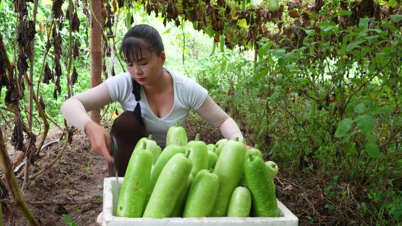 Why these three-wheeled vendors make the most money at rural markets