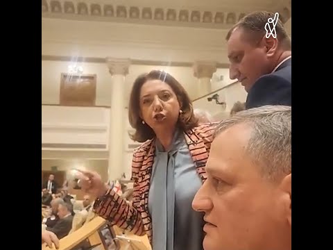 სალომე სამადაშვილი პაპუაშვილმა პარლამენტის დარბაზიდან გააძევა