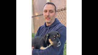 Sean Casey Animal Rescue 25th Anniversary