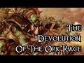 The Devolution Of The Ork Race - 40K Theories