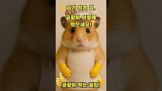 장마철 걱정 끝! 곰팡이 막는 생활 꿀팁 #장마철 #곰팡이예방 #생활꿀팁 #장마철대비 #곰팡이제거 #청소꿀팁 #제습기 #습기관리 #장마철청소 #여름철관리 #곰팡이방지 #홈케어