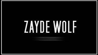 27 MINUTES OF ZAYDE WOLF