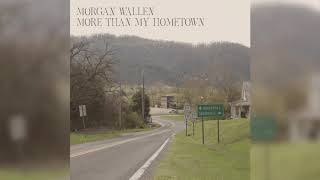 Vignette de la vidéo "Morgan Wallen - More Than My Hometown (Audio Only)"