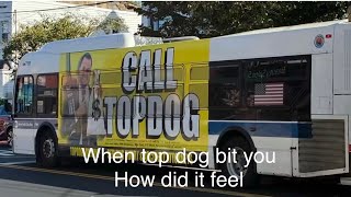 Top Dog Law - When Top Dog Bit You, How Did It Feel - October 13, 2025