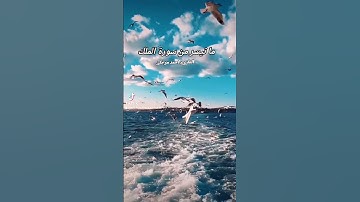 ما تيسر من سورة الملك بصوت القارىء احمد مرخان