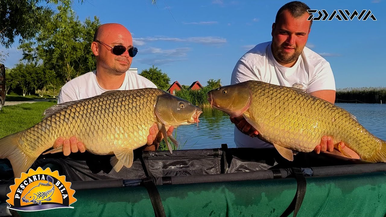 Calificari Etapa II 30Mai - 1 Iunie Turneul Daiwa pescuit la crap pe Iazul Bila2