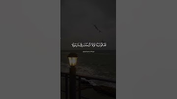 ما تيسر من سورة طه للقارئ محسن الدوسري
