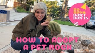 How to Adopt a Pet Rock | Do-do