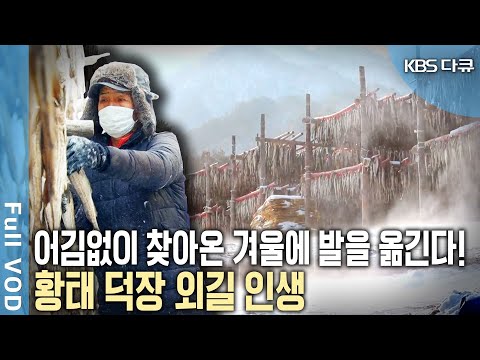황태 덕장 인생 60여년! 엄동설한도 무섭지 않다는 아버지. 그 뒤를 따르는 아들과 화폭에 아버지를 담는 딸~ (KBS 20180203 방송)