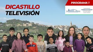 DICASTILLO TV - Programa 1