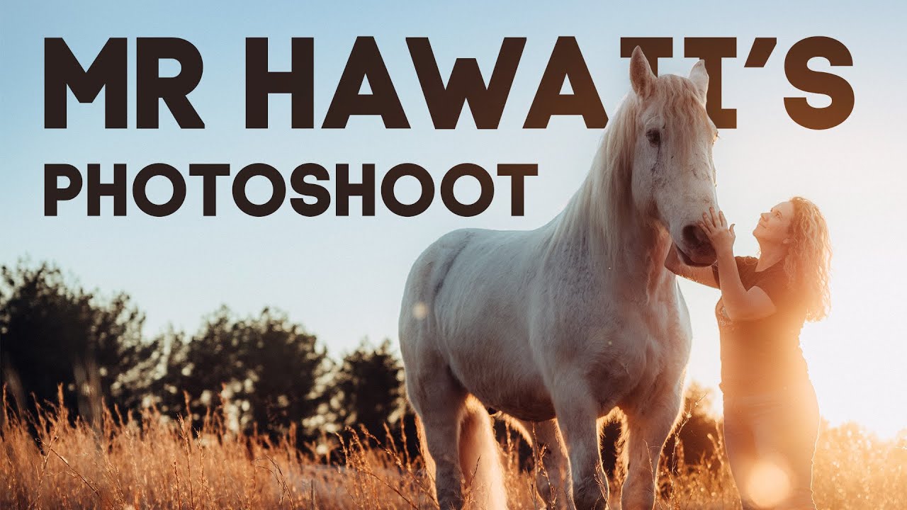 Mr Hawaii's Photoshoot | Horse Shelter Heroes S3E2