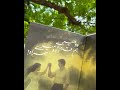 #viralvideo #bookreview #novelshort #viralvideo #ummehaniromanticnovel #newnovel #youtubeshorts