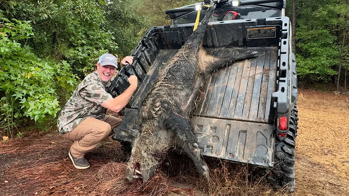 Monster Boar Down! Big Cutters Hog Hunt With AGM Thermal