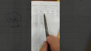 subject pronouns ضمائر الفاعل