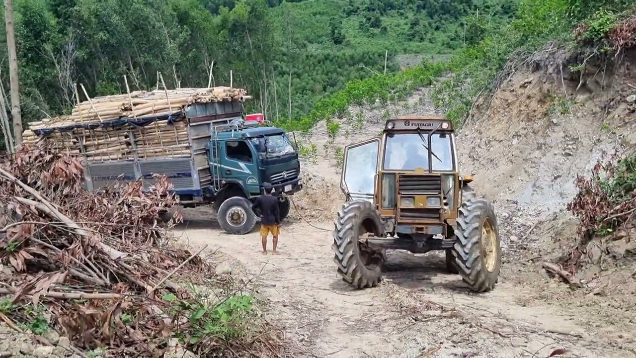 Kéo xe hay chở keo hay.